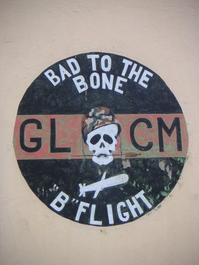 Bad to the Bone